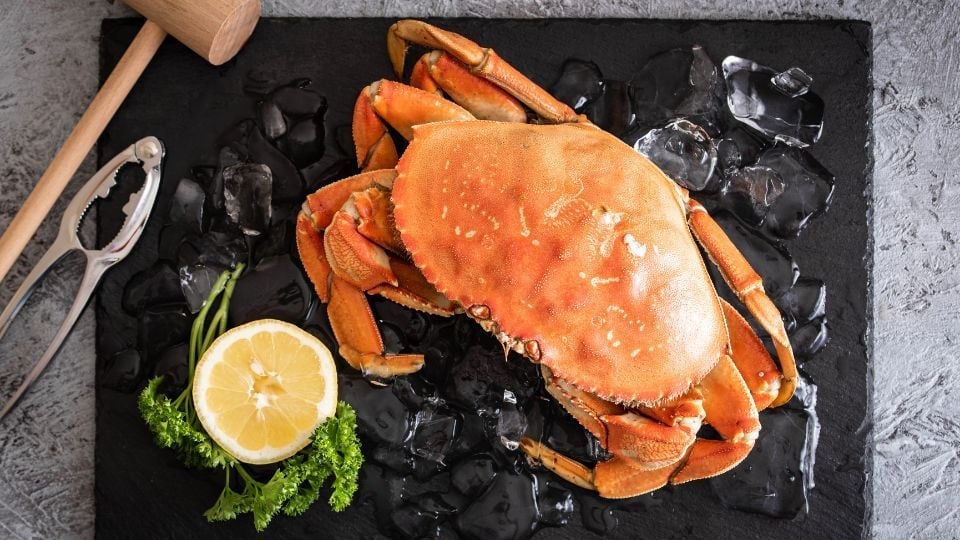 cooked dungeness crab
